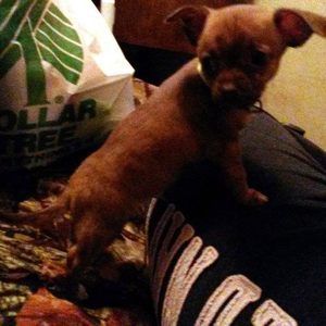 Meet your Posher, Sandra